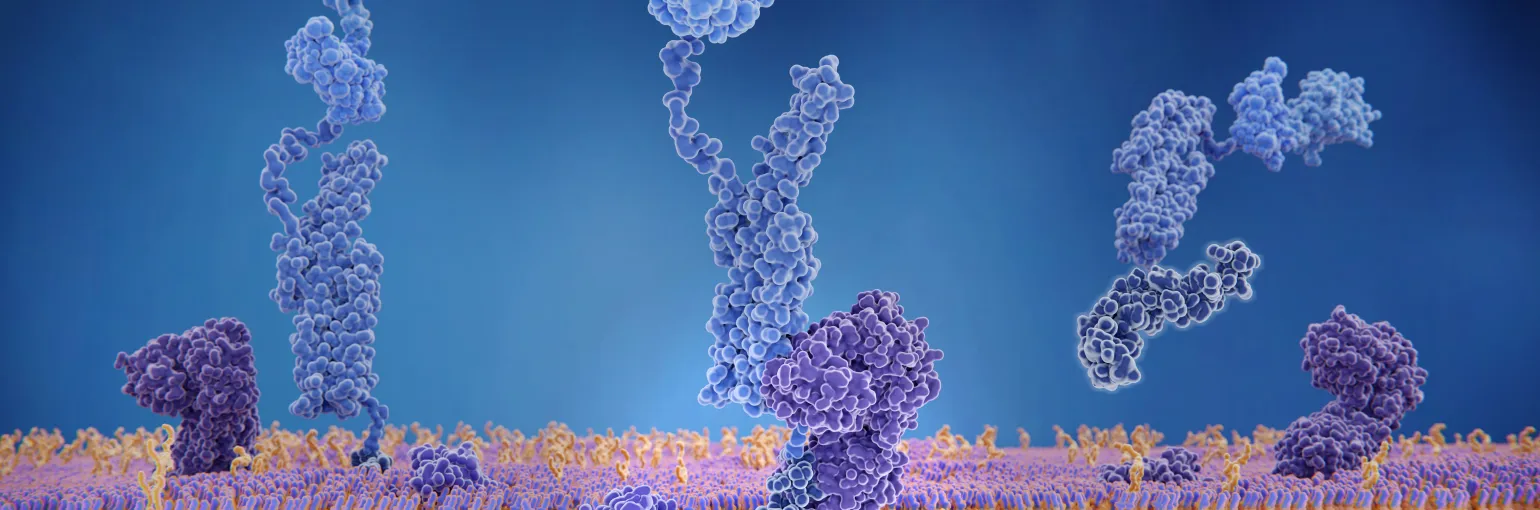 Gamma Secretase